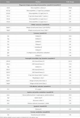 Baseline gene expression in BALB/c and C57BL/6 peritoneal macrophages influences but does not dictate their functional phenotypes